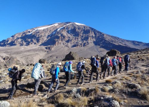 8 Days Mount Kilimanjaro Lemosho route