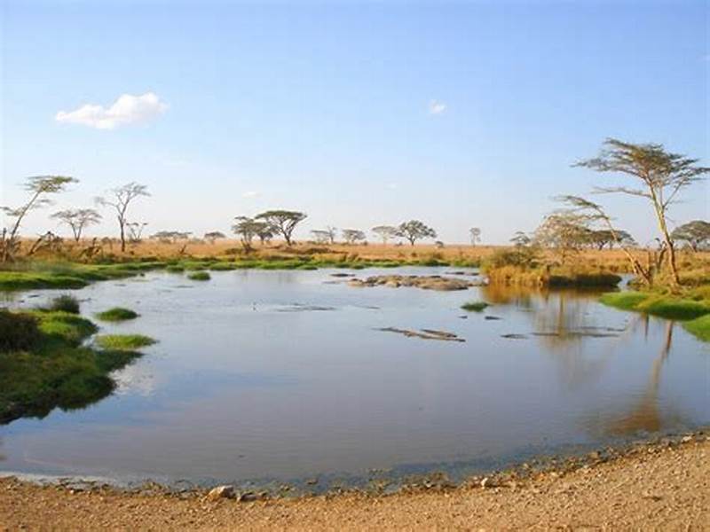 Lake Manyara national park