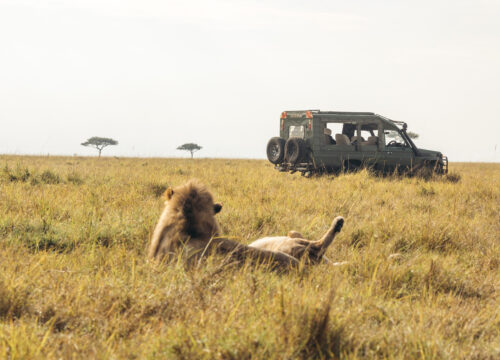 5-Day Tanzania Safari Adventure – Pumba Holidays Company